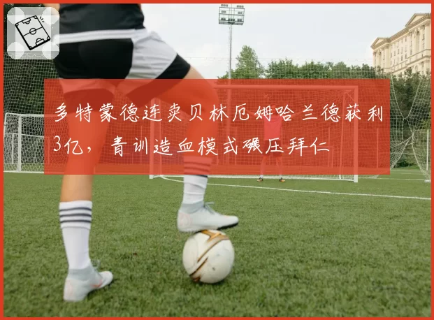 多特蒙德连卖贝林厄姆哈兰德获利3亿，青训造血模式碾压拜仁