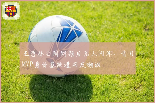 王哲林合同到期后无人问津，昔日MVP身价暴跌遭网友嘲讽