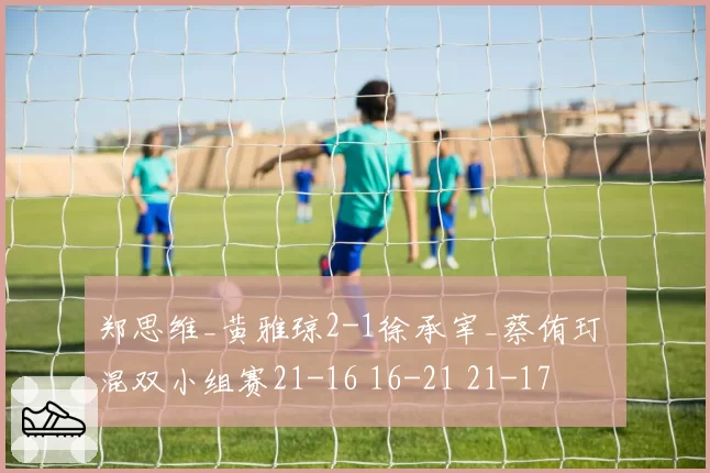 郑思维_黄雅琼2-1徐承宰_蔡侑玎 混双小组赛21-16 16-21 21-17
