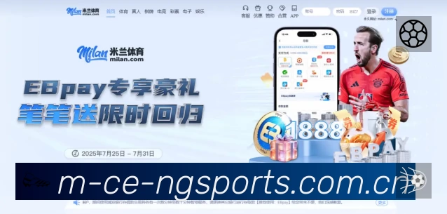 关于 NG体育